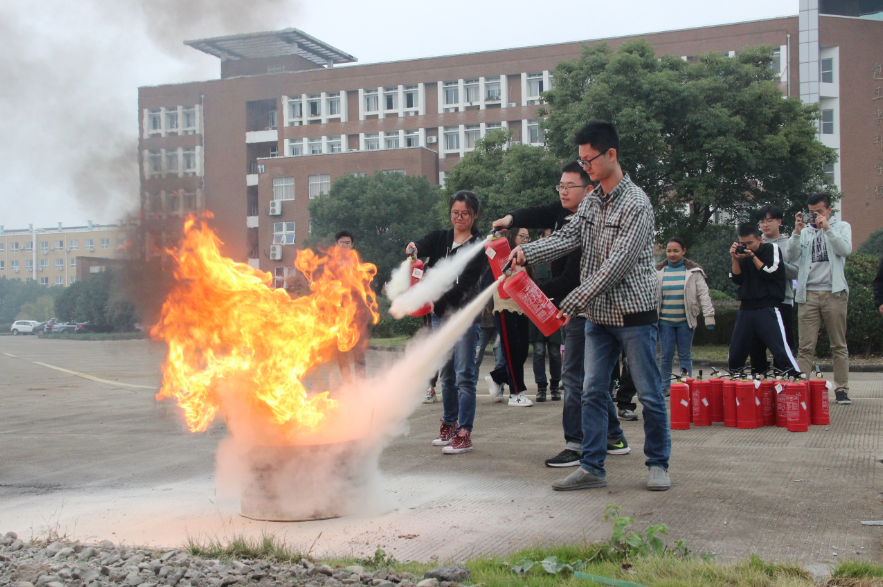 1510741056281384.png 50.png